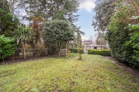 1406830-5-6984cf3...