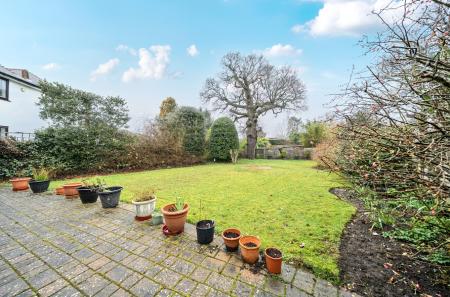 1407300-16-698244...