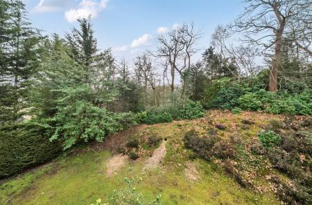 1425461-20-69b292...