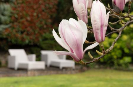 1418668-26-69b0a7...