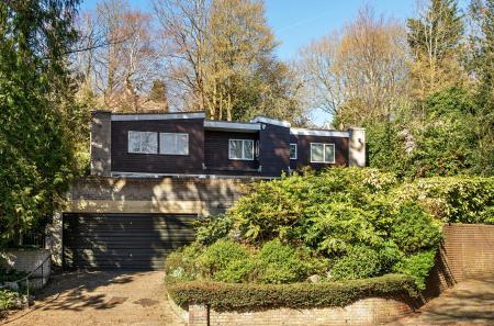 1431704-18-69bb14...