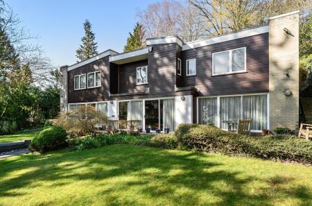 1431704-20-69bb14...