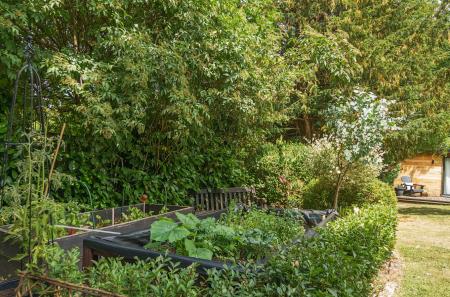 1312503-11-685c0b...