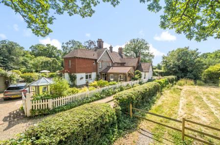 1313605-4-68592c8...