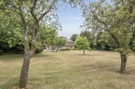 1342770-7-68ae22b...