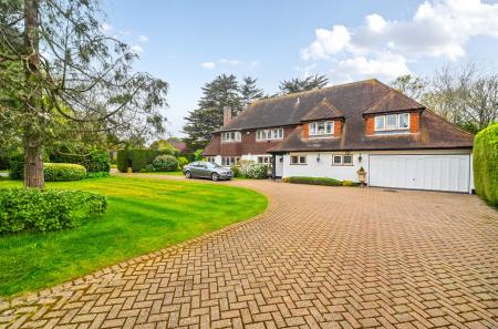 1442093-19-69dfe0...