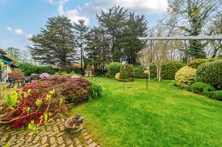 1442093-16-69dfe0...