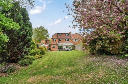 1446527-4-69e64aa...