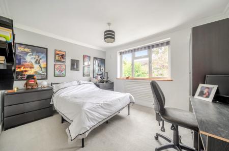 1446527-14-69e64a...