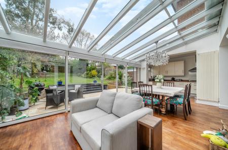 1446527-10-69e64a...