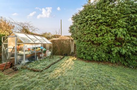 1386549-16-69677d...