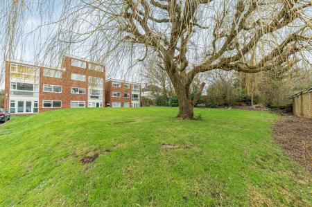 Communal Grounds