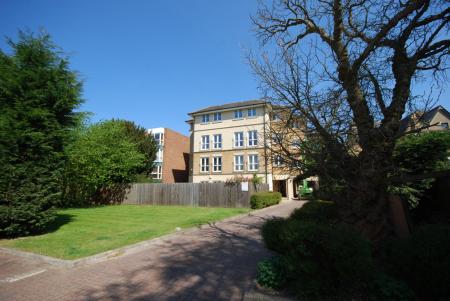 Rear External