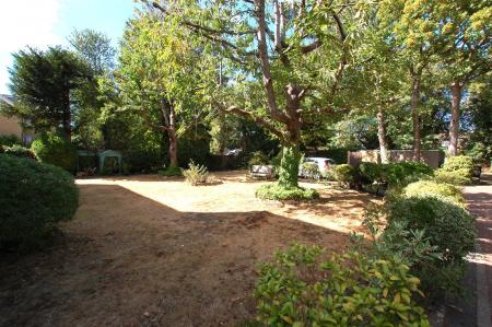Communal Garden
