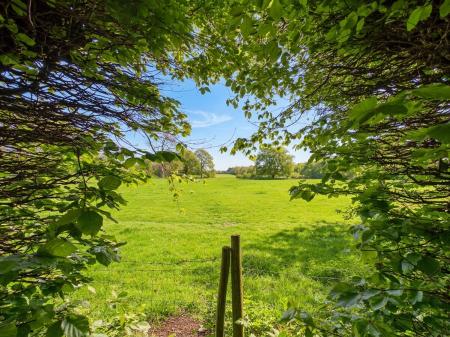Kirkdale Manor Grounds