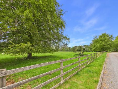 Kirkdale Manor Grounds