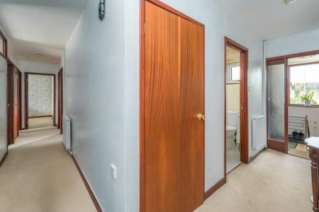 Hall-3