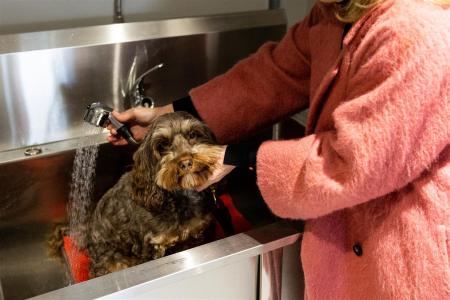 INTERIOR COMMUNAL AREAS