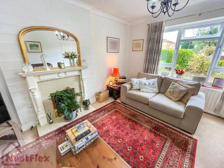 Living room - 15 Tra