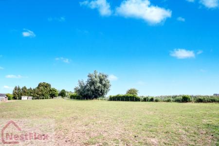 20250812054617_IMG_2