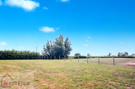 20250812054617_IMG_2