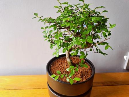 a515f086-20260417_11