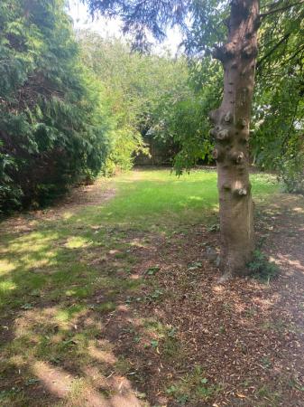 GARDEN1.jpeg
