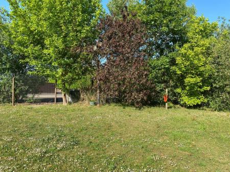 IMG-20260526-WA0056