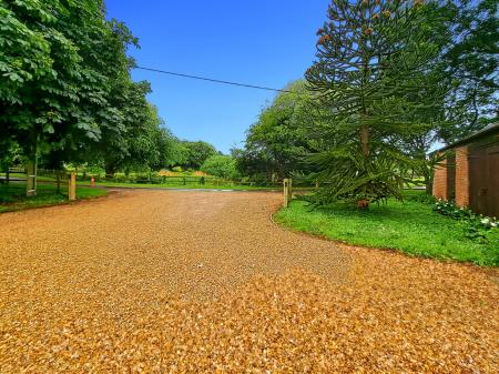 the-barn_00041