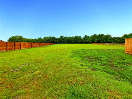 the-barn_00039