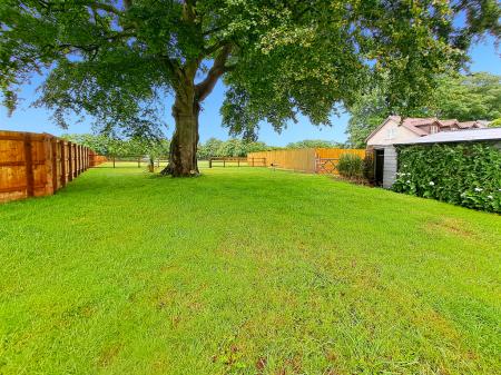 the-barn_00042