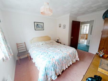 5-bertie_00008