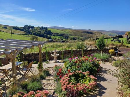 20240917_114652_resized mediterranean garden.jpg