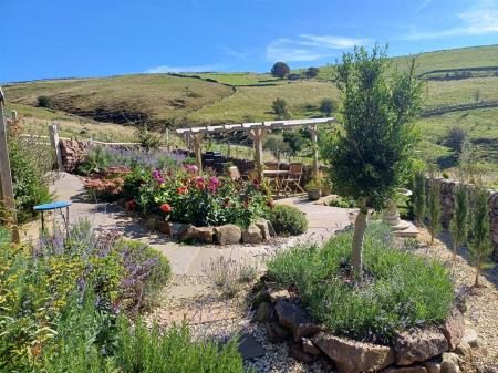 20240917_114629_resized_1 mediterranean garden.jpg