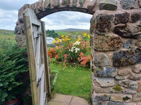 20240807_170430_resized_1 walled veg garden.jpg