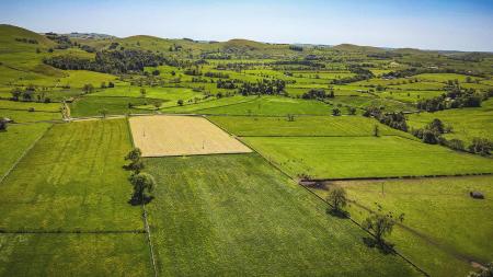 dji_fly_20260525_130742_76_1779724158620_aeb.jpg