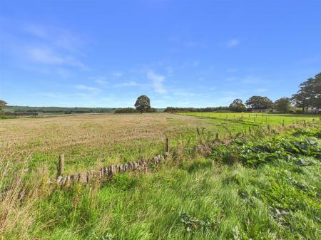 CAM03145G0-PR0577-STILL003.jpg