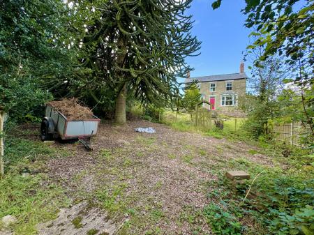 Front Garden / parking