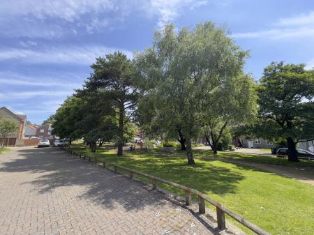 Local Parkland