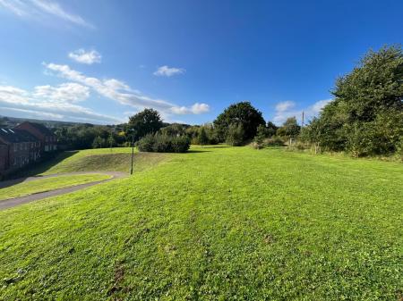 Green Space
