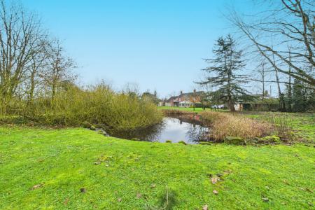 Garden & Pond