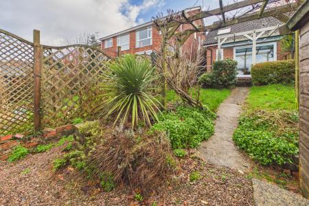 Lawn Area