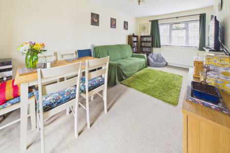 Lounge / Dining Area