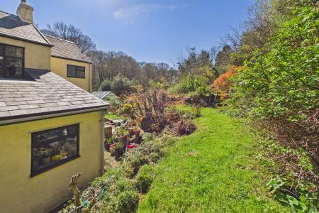 Back Garden