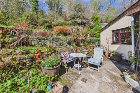 Back Garden