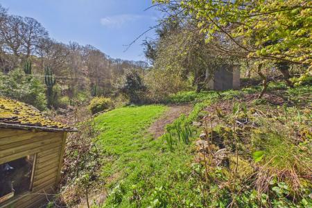 Back Garden