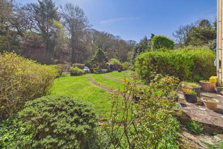 Back Garden
