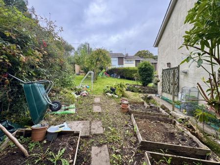 Vegetable Garden