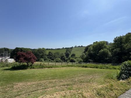 Garden And View