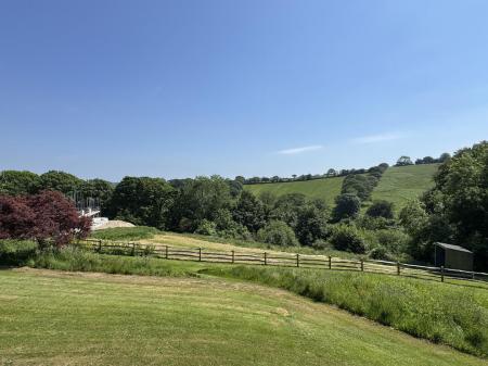 Garden And View